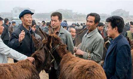 为人知晓_x为人知_不为人知的野史