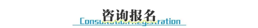 探索自然之美作文_探索自然作文_自然探索