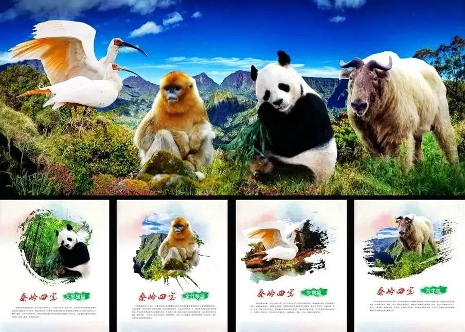 探索自然之美作文_探索自然作文_自然探索