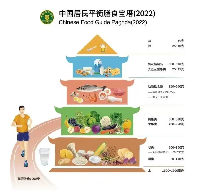 中国学生营养日_中国学生营养与健康促进网站_中国学生营养与健康示范学校