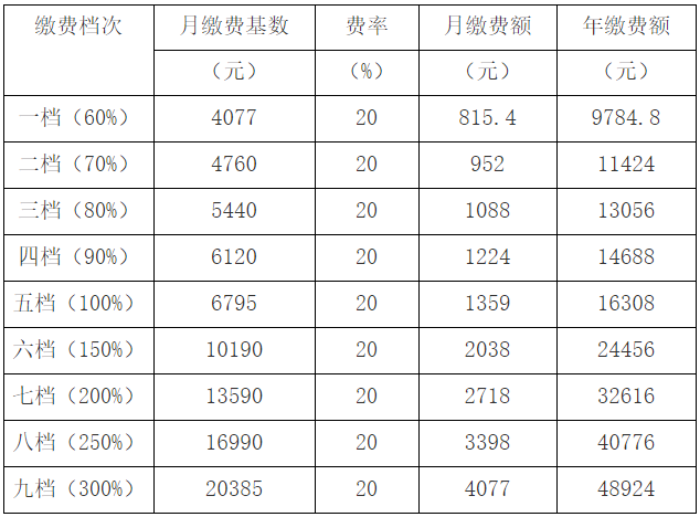 武汉社会保障网_武汉社会保险服务个人网站官网_武汉保障社会网官方网站