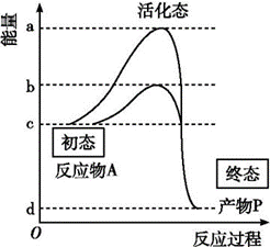 教学设计 | BX1 5.1 降低化学反应活化能的酶