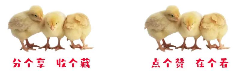 聊文史三国_清照聊文史_聊文史