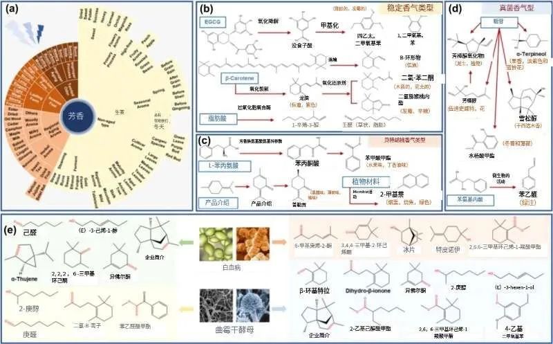 六堡茶历史故事_六堡茶的历史_六堡茶大事典