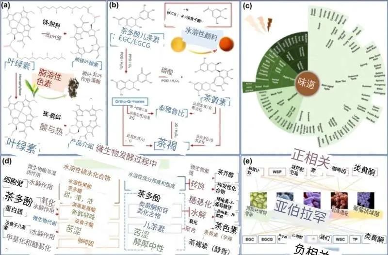 六堡茶大事典_六堡茶的历史_六堡茶历史故事