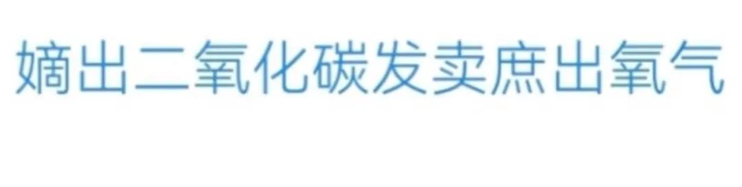 封建社会皇权发展的总趋势_封建社会皇权_封建皇权的巅峰