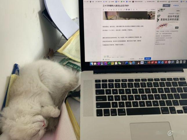 自由职业对社会的贡献_自由职业者对社会的贡献_自由职业者社会地位