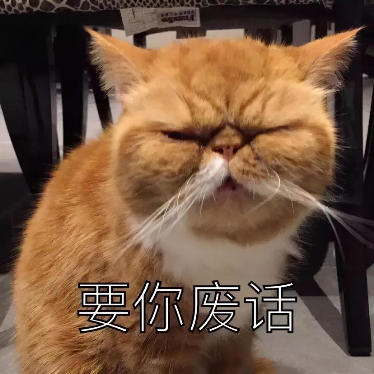 圆周率研究新进展_圆周率研究历史_圆周率的研究历史