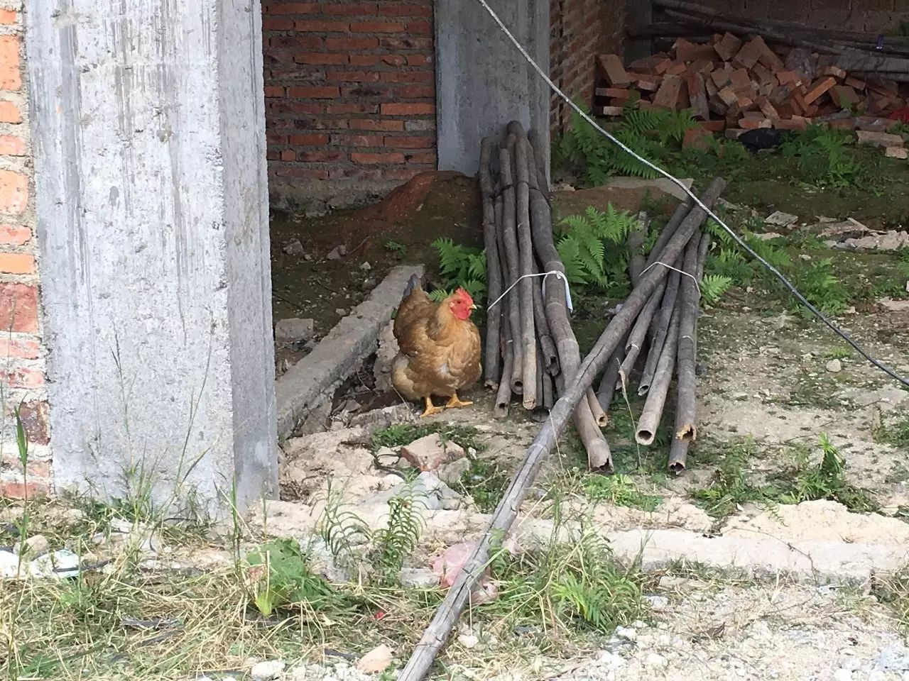 乡土社会的特征_乡土中国中乡土社会的特性_乡土社会特征及其内涵