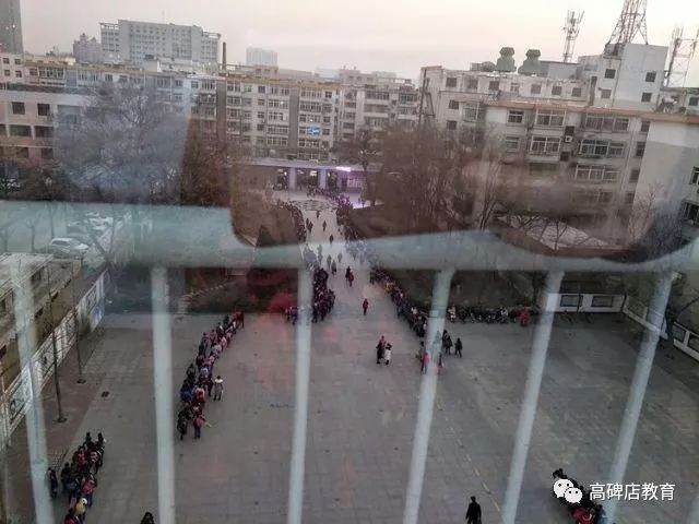 国学学生是国家培养的吗_学生国学_国学学生体质健康标准表