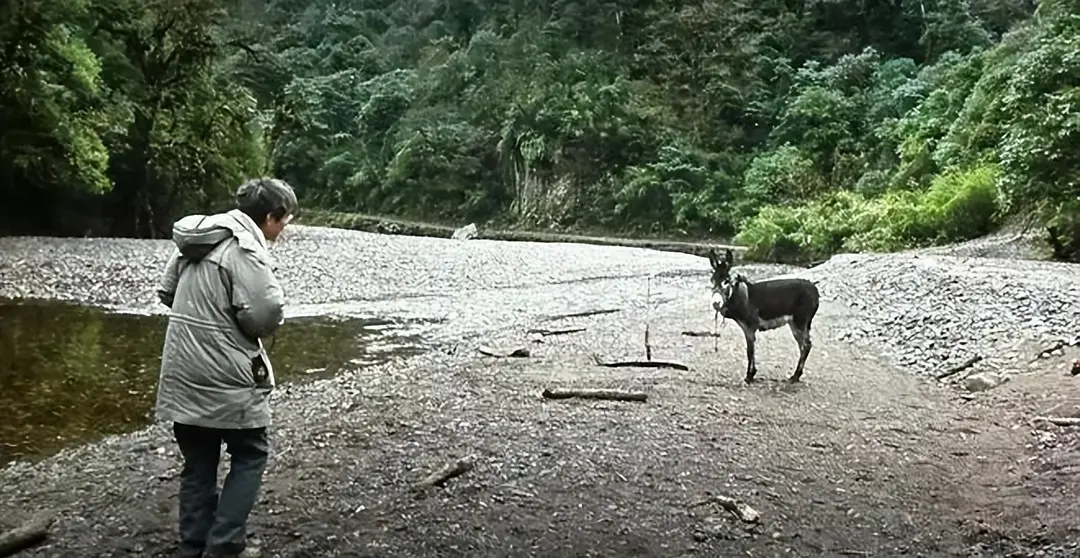 探索宇宙._宇宙探索编辑部_宇宙探索编辑部台词