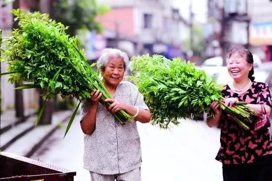 端午节纪念人物及相关故事_端午节纪念哪些历史人物_端午节的人物纪念