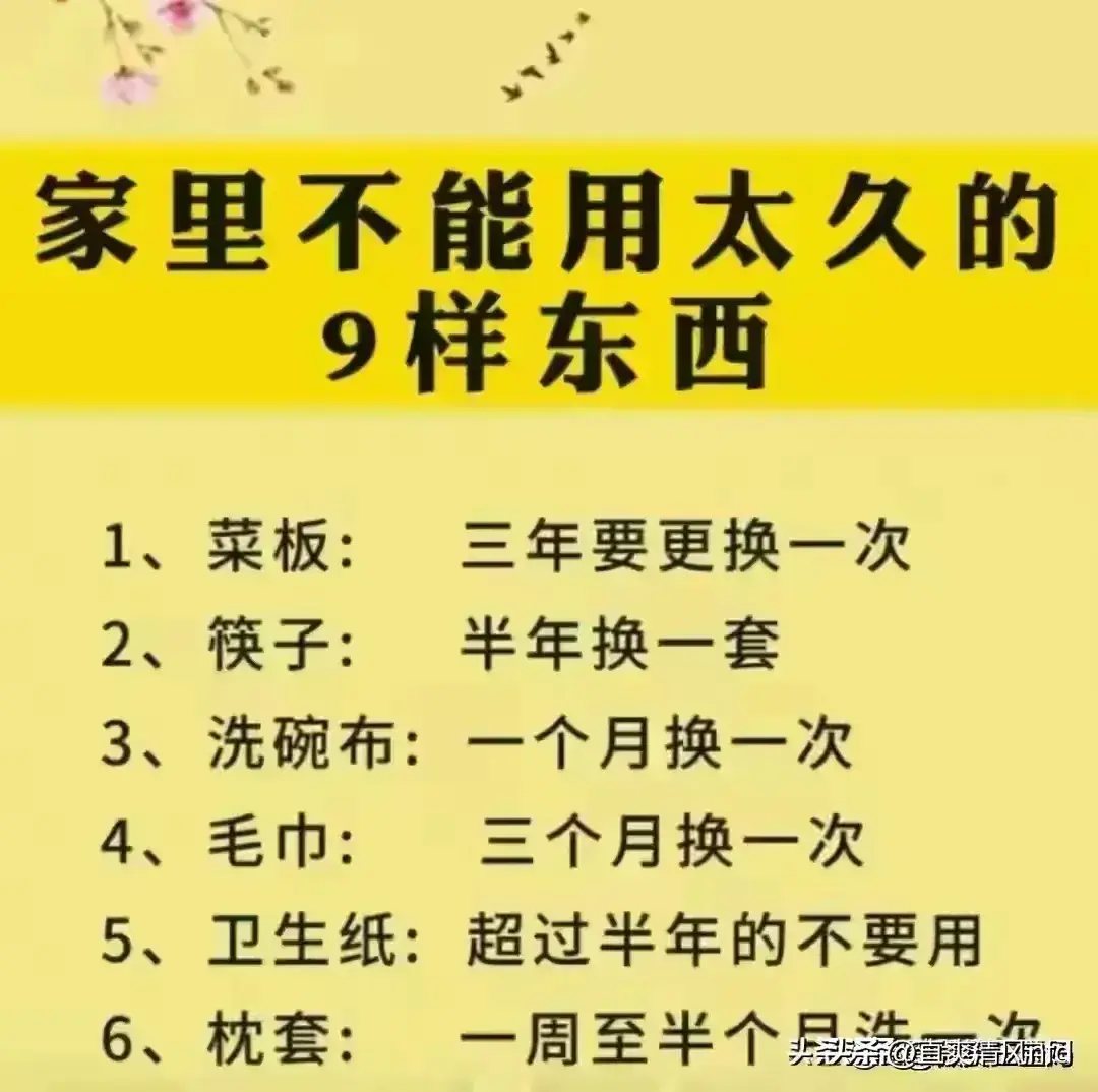 重要社会关系包含子女吗_社会关系的重要性_重要社会关系说明