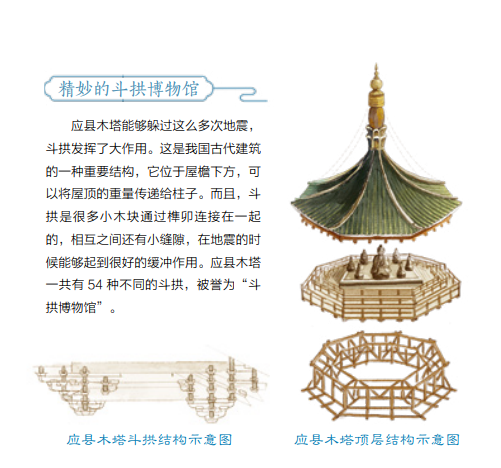 初一下册历史书_初一年级历史书电子版_初一到初三的历史重点归纳