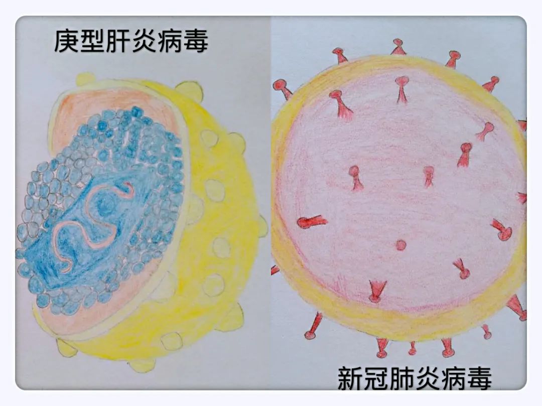 途径历史研究有哪些方面_研究历史的途径有哪些_历史途径是什么意思