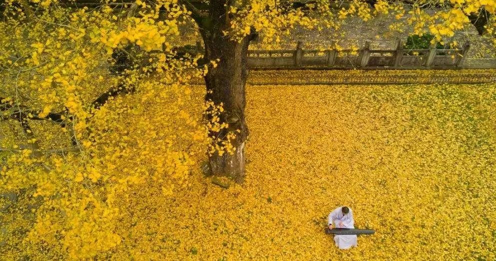 高中历史小课题研究_课题高中历史研究小结怎么写_课题高中历史研究小论文范文