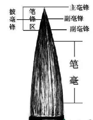 文史张在军_文史张小宇_张文史