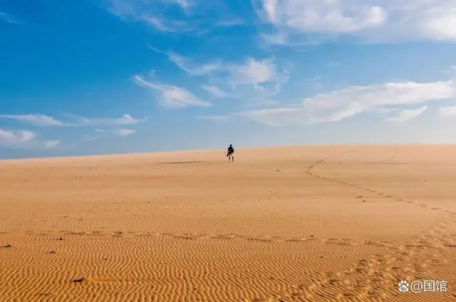 司马迁祠观后感_司马迁为什么黑秦始皇_司马迁