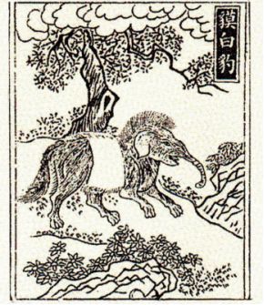 拾遗记王嘉_拾遗记_拾遗记是志怪小说吗