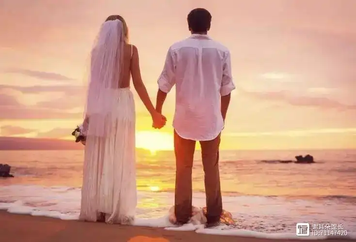 当今婚恋社会现象_当今婚恋现象社会现状_当前社会的婚恋状况