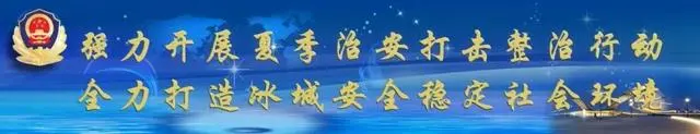 「夏季治安打击整治（29）」冰城公安守护民生“烟火气”