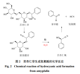 研究历史的途径_历史研究路径_研究历史的主要途径是什么