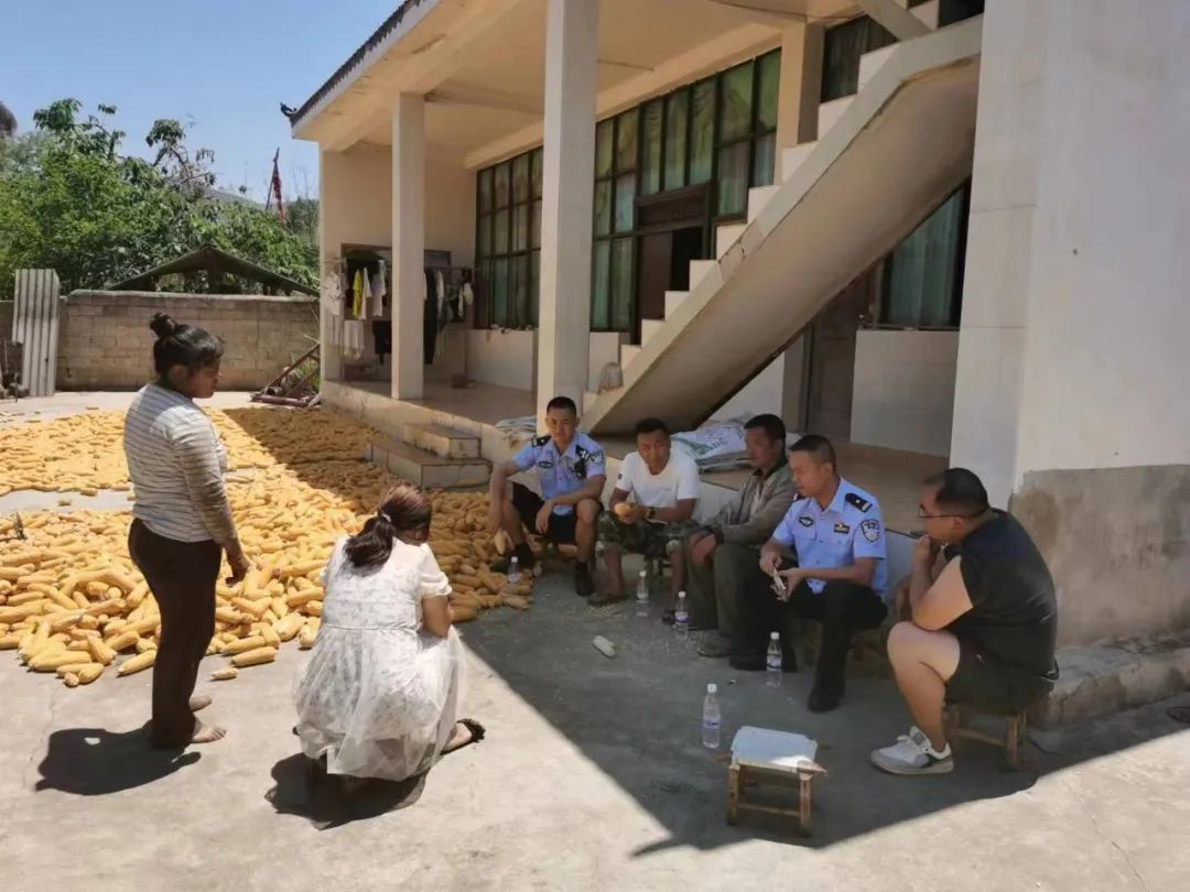 治安整治夏季社会实践报告_夏季治安突出问题_夏季社会治安整治