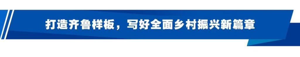 乡村社会治理是干嘛的_乡村社会_乡村社会实践活动内容怎么写