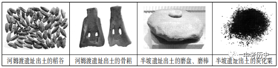 研究秦史的史学家_秦早期历史研究_研究秦朝历史的实物史料是