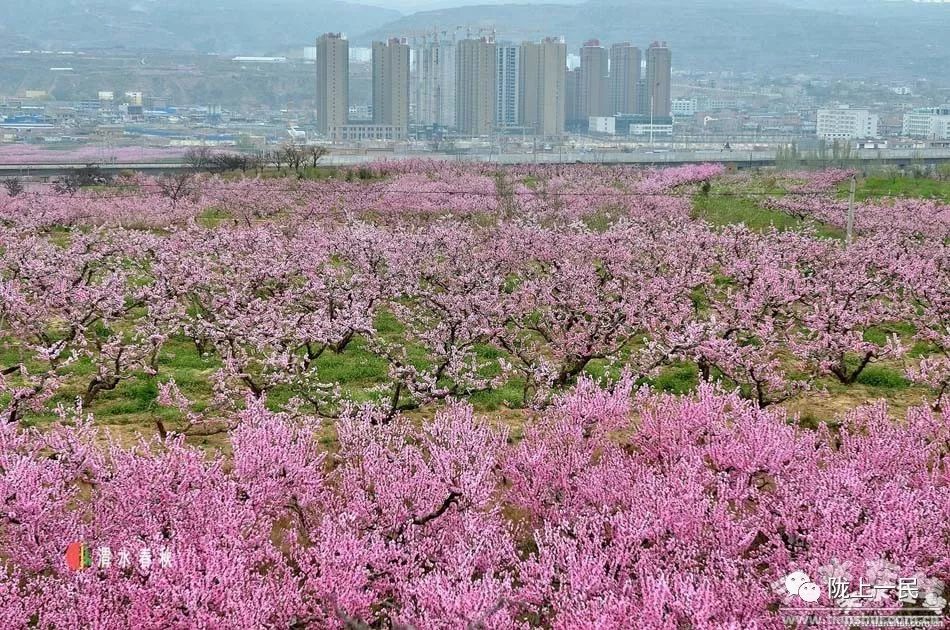 冯氏历史英雄人物_冯的历史人物_冯夕历史人物