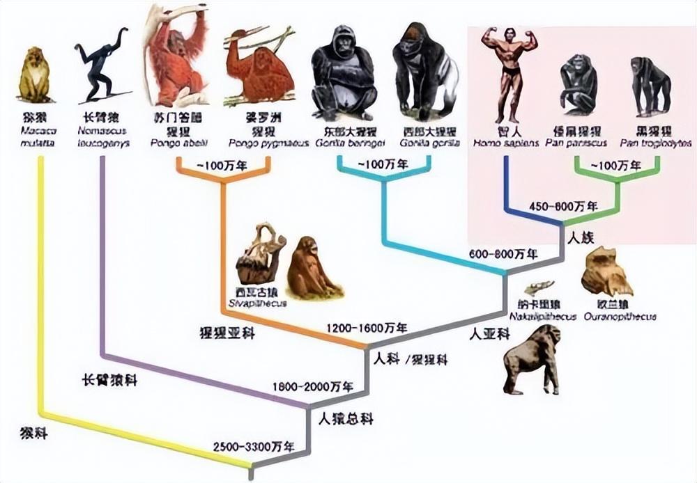 研究地球历史的最主要途径_途径地球历史研究主要包括_途径地球历史研究主要研究什么