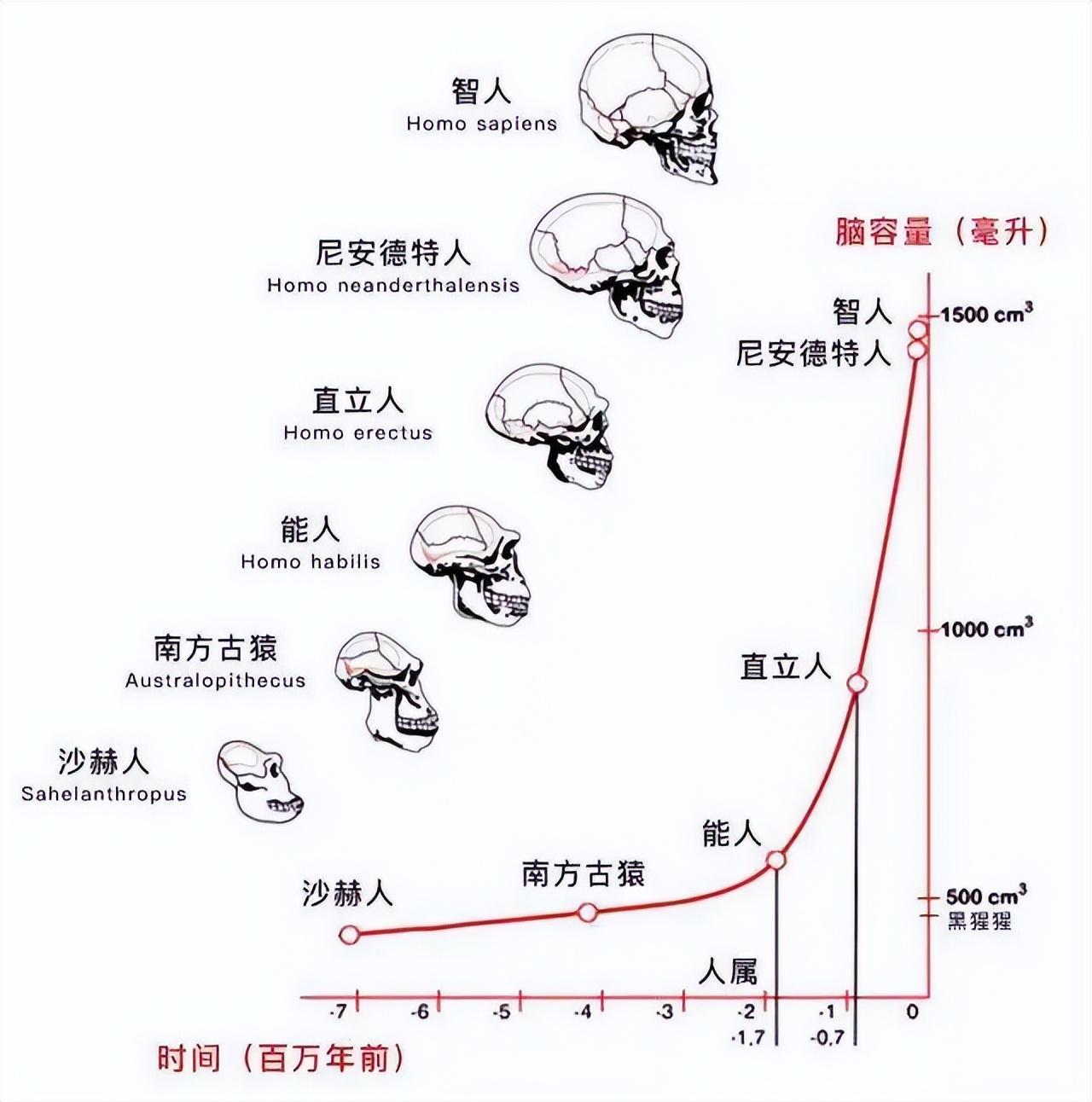 途径地球历史研究主要包括_途径地球历史研究主要研究什么_研究地球历史的最主要途径