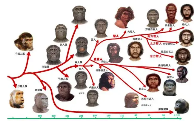 途径地球历史研究主要研究什么_研究地球历史的最主要途径_途径地球历史研究主要包括