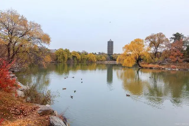 生存社会秩序娱乐_社会怎么生存_生存社会化干部来源多样化