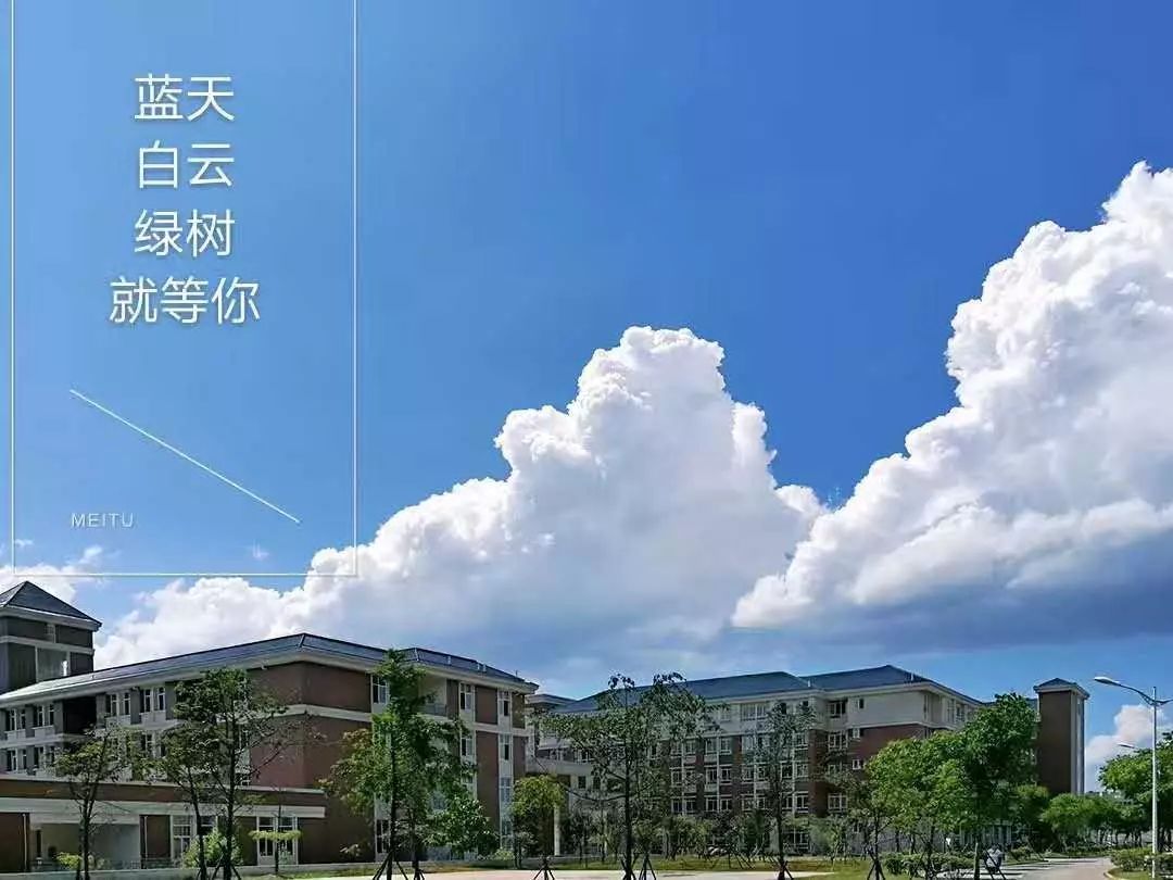 高职文史类学什么专业好_高职文史类是什么专业_文史类高职