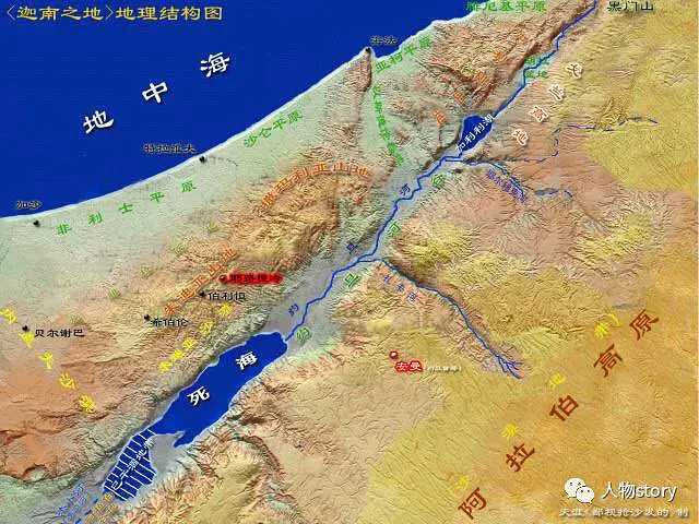 历史视野包括_历史的视角发展的眼光_历史研究的视角