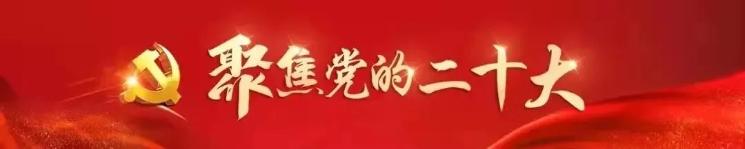 苏贤瑜任昭通市人民政府副秘书长；罗以鑫任昭通市人力资源和社会保障局副局长...