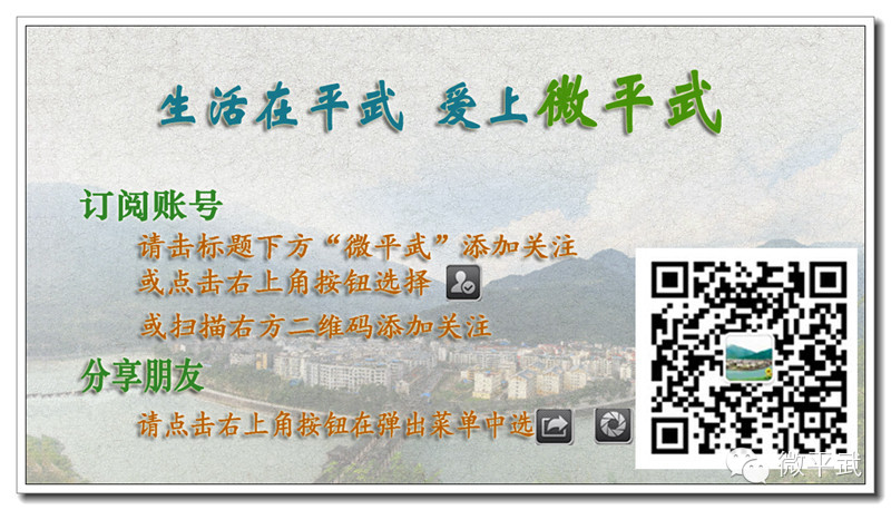 假如这些历史名人为平武代言~他们的广告语会是怎样的呢？