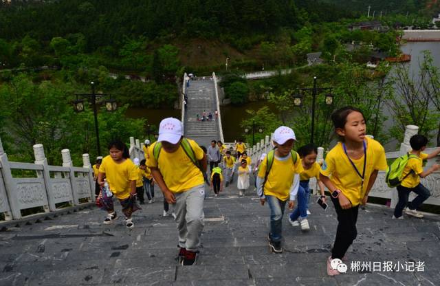 历史沿革_历史沿革的意思_历史沿革设计图