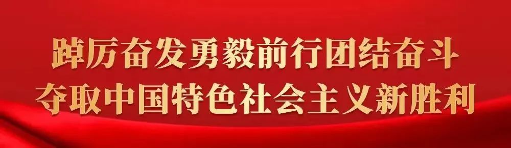 治理社会内容包括哪些_社会治理包括哪些内容_社会治理的具体内容