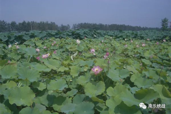 朱厚照野史_朱厚照轶事_历史朱厚照