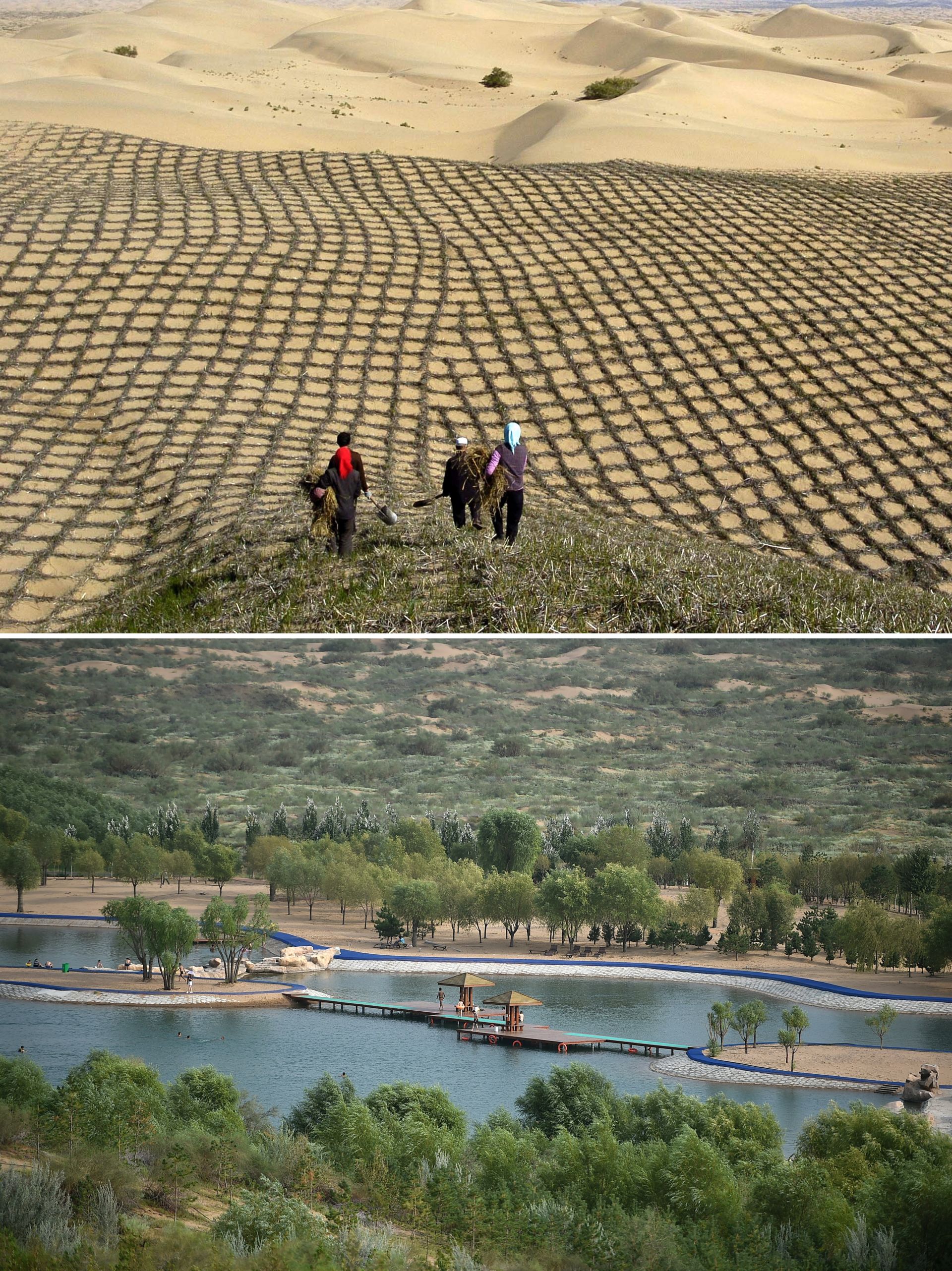 上图为2007年，宁夏灵武市白芨滩国家级自然保护区内，职工在扎草方格；下图为2016年，宁夏灵武市白芨滩国家级自然保护区内，沙漠绿洲已经形成。（新华社）