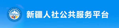 新疆自治区 社会保障卡/社保卡业务平台