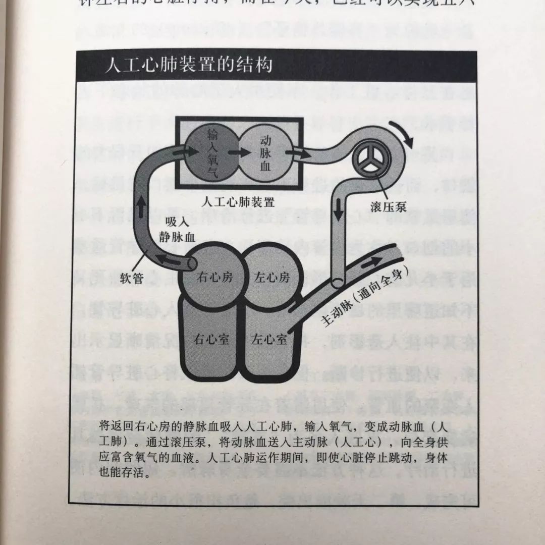 懂社会也是一门学问_懂社会是什么意思_十四岁懂社会