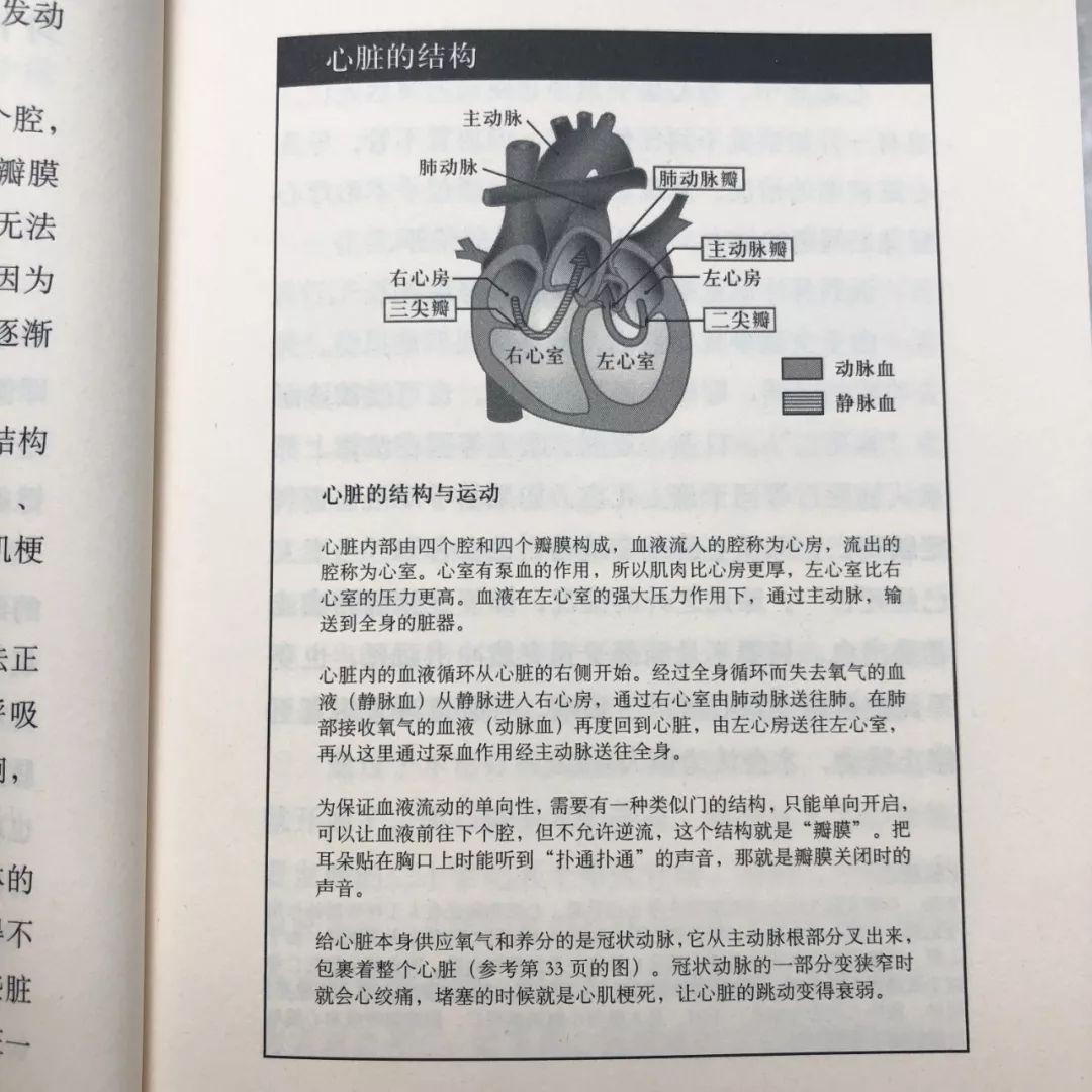 懂社会是什么意思_懂社会也是一门学问_十四岁懂社会