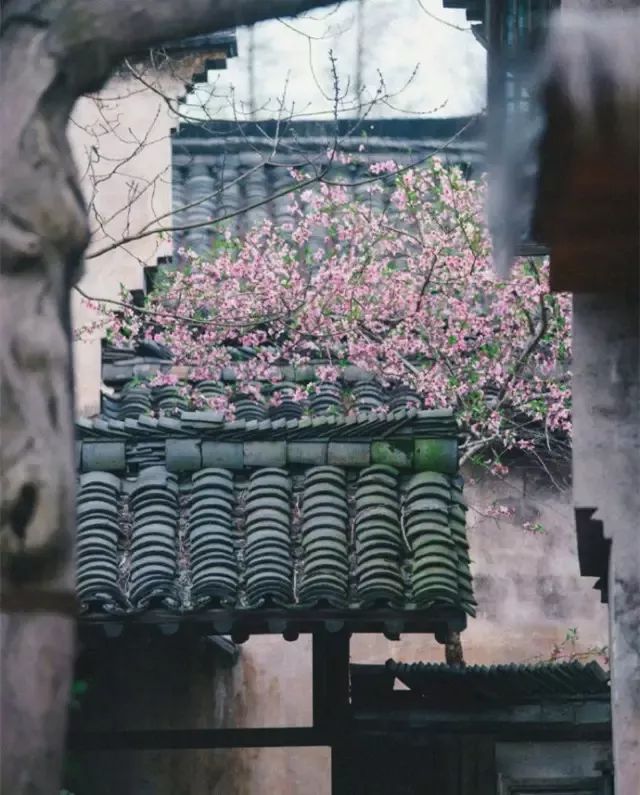 史传_史传文学_史传是什么意思
