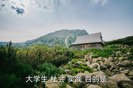 大学生 社会 实践 目的是