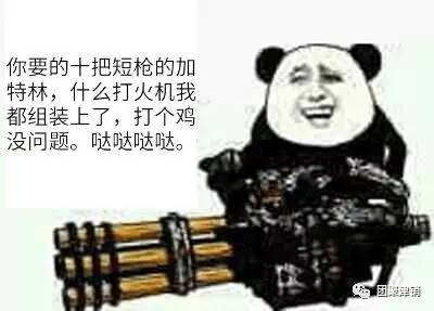 社会王加特林_加特林社会王现状_加特林社会王段子