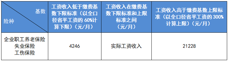 社会保险费各项缴费比例是多少_社会保险怎么缴费_社会保险的缴费比例及方式