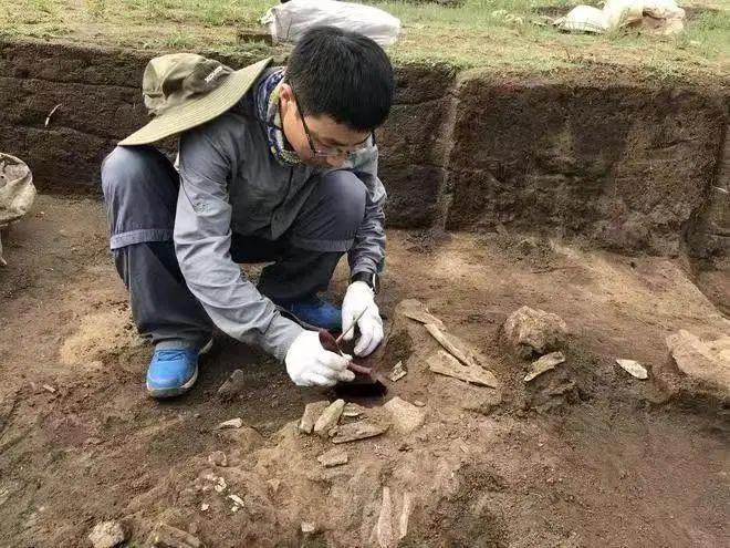 人文历史研究_人文历史考研_人文历史研究课题